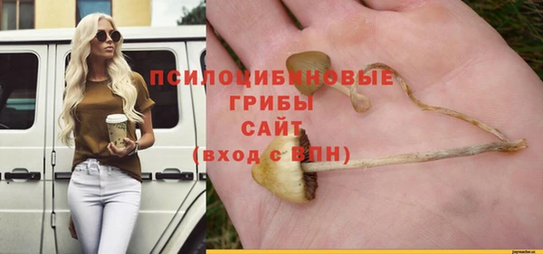 mdpv Зеленодольск