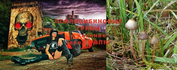 каннабис Алзамай