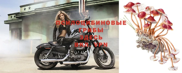 каннабис Алзамай